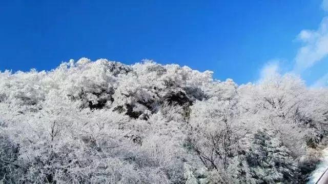 地暖舒适,为什么还有人买暖气片呢?