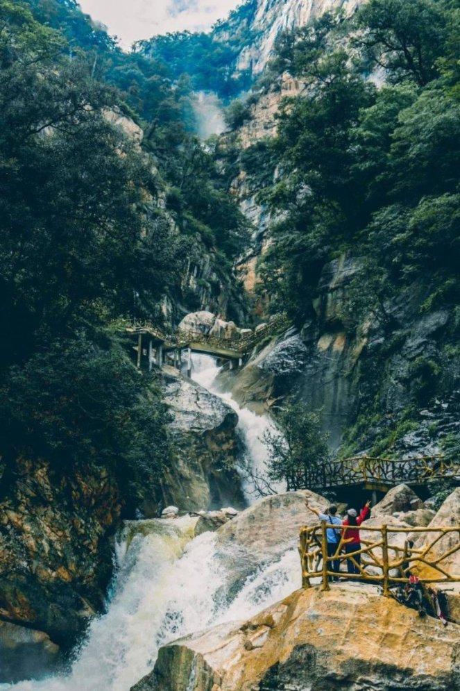 狍子雪地被困，被当地养殖户解救后呆在原地，久久不肯离去